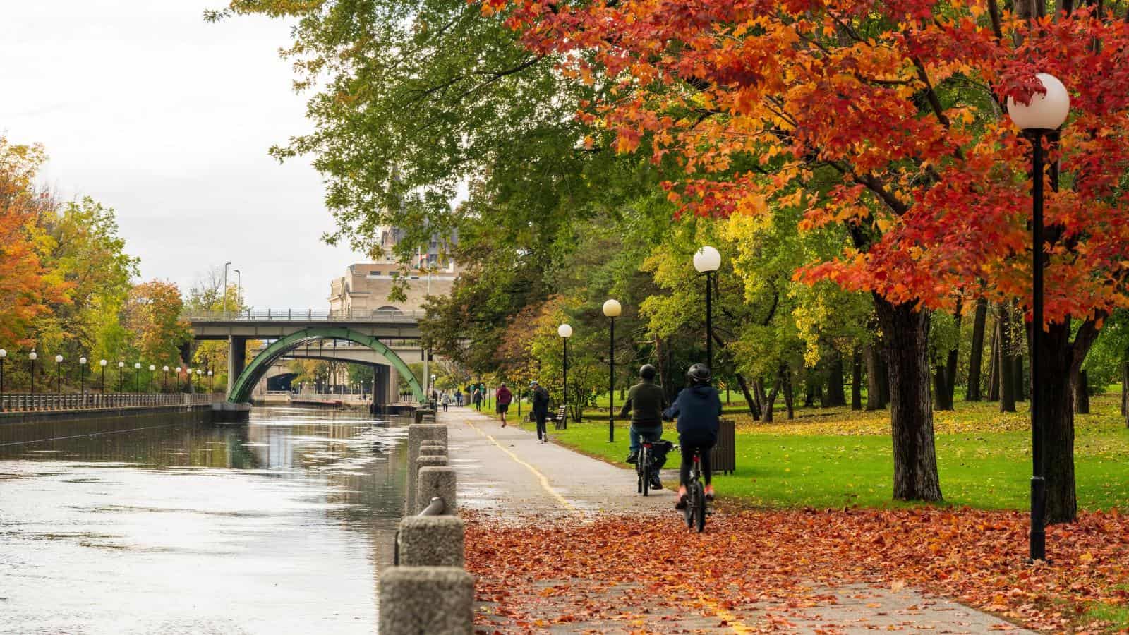 Outdoor bike autumn